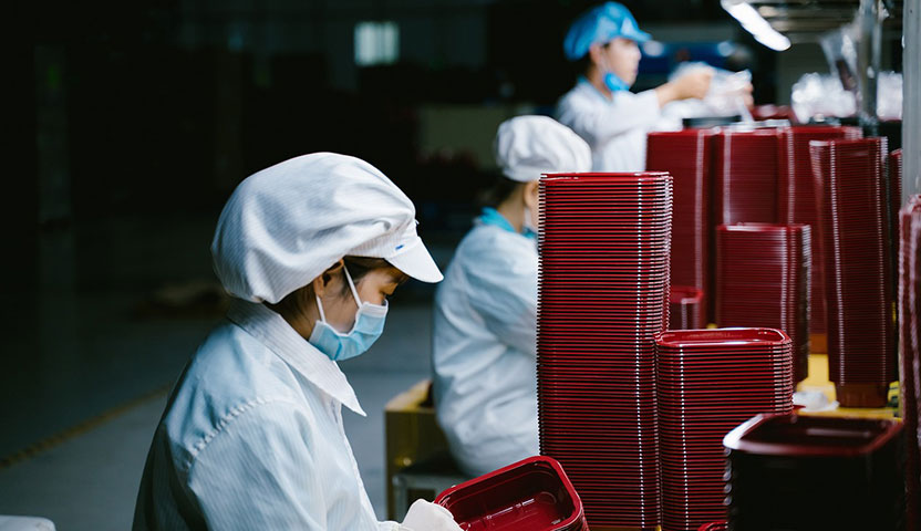 Product Worker Chicken