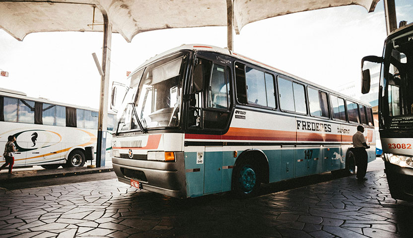 City Bus Driver
